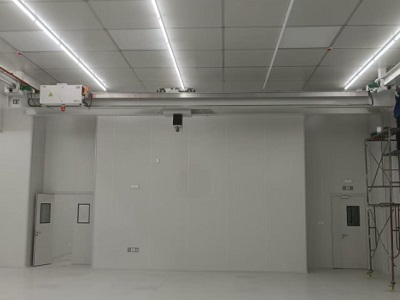 CLEANROOM CRANES